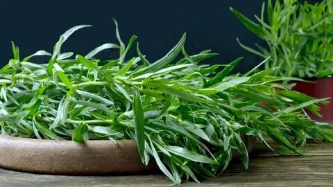 فروش مستقیم و عمده سبزی ترخون خشک + قیمت ویژه